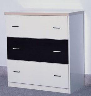 11.1 辦公資料矮櫃