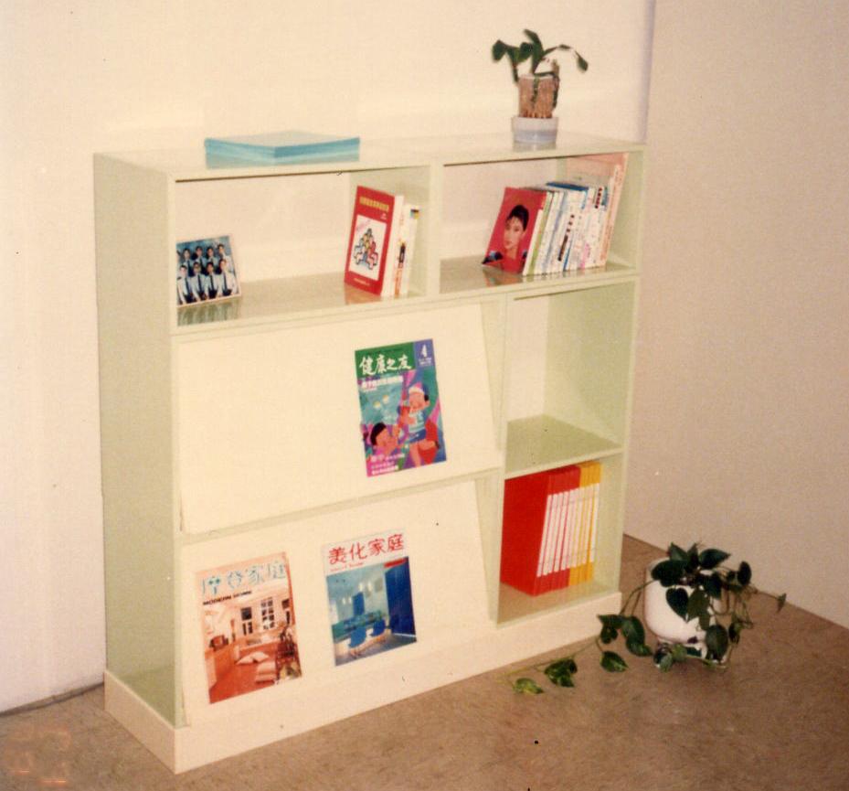 19.1 組合塑鋼展示圖書櫃