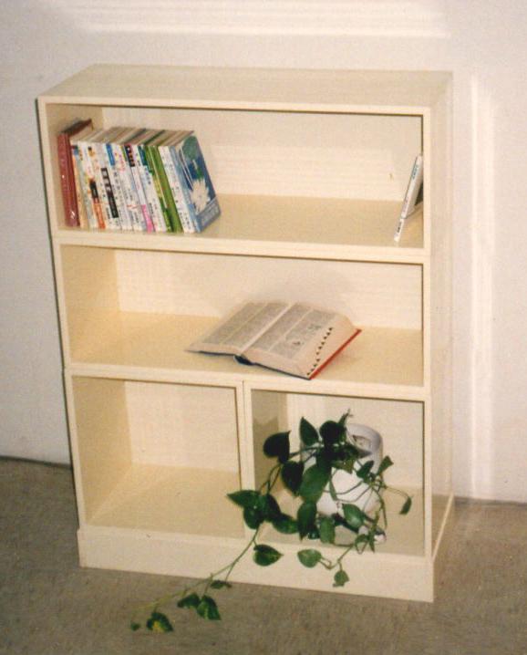 19.3 組合塑鋼展示圖書櫃